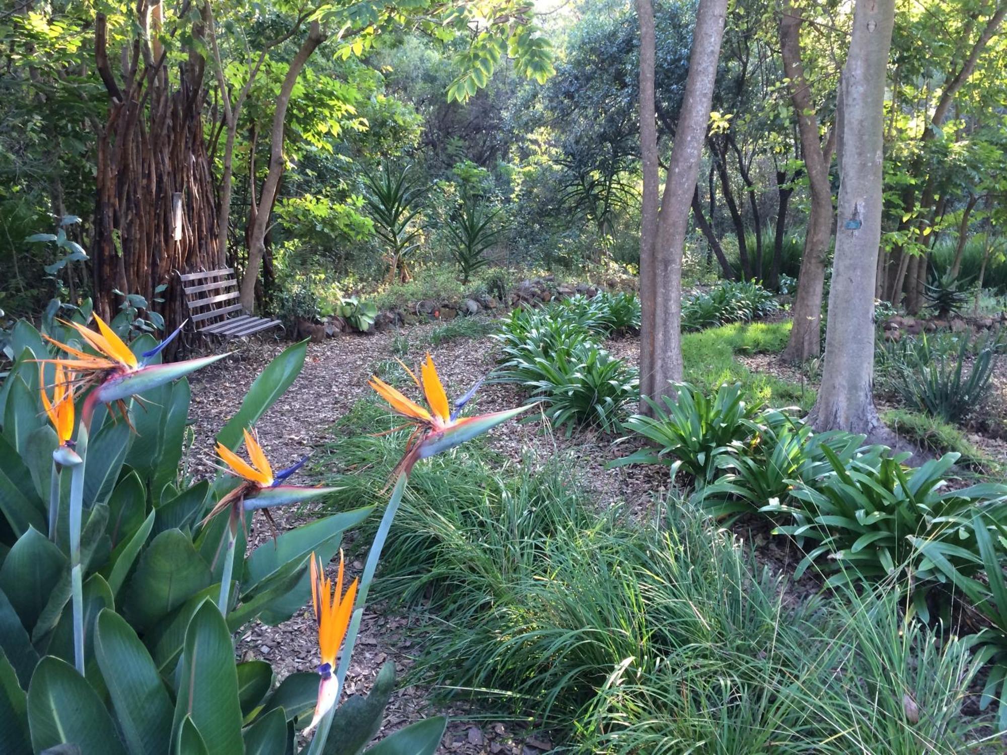Old Joe'S Kaia Hotel Shoemanskloof Luaran gambar